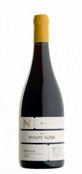 Pinot noir 2025 suché